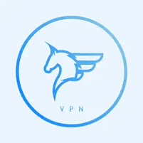 飞马加速器电脑版